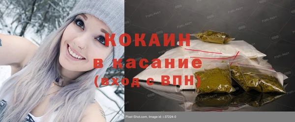 сатива Дмитровск
