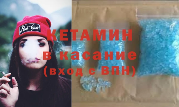 сатива Дмитровск