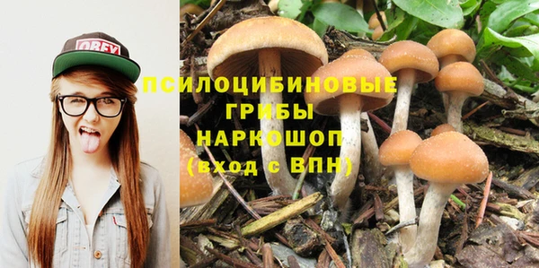 экстази Ельня