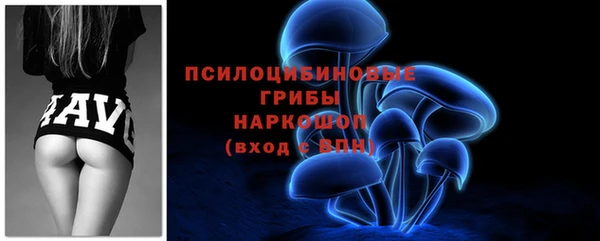 2c-b Елабуга