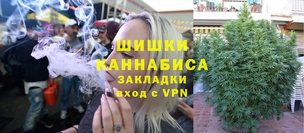 сатива Дмитровск