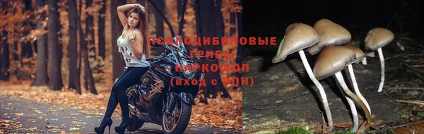 2c-b Елабуга
