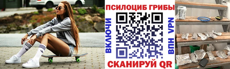 где найти наркотики  Ирбит  Псилоцибиновые грибы MAGIC MUSHROOMS 