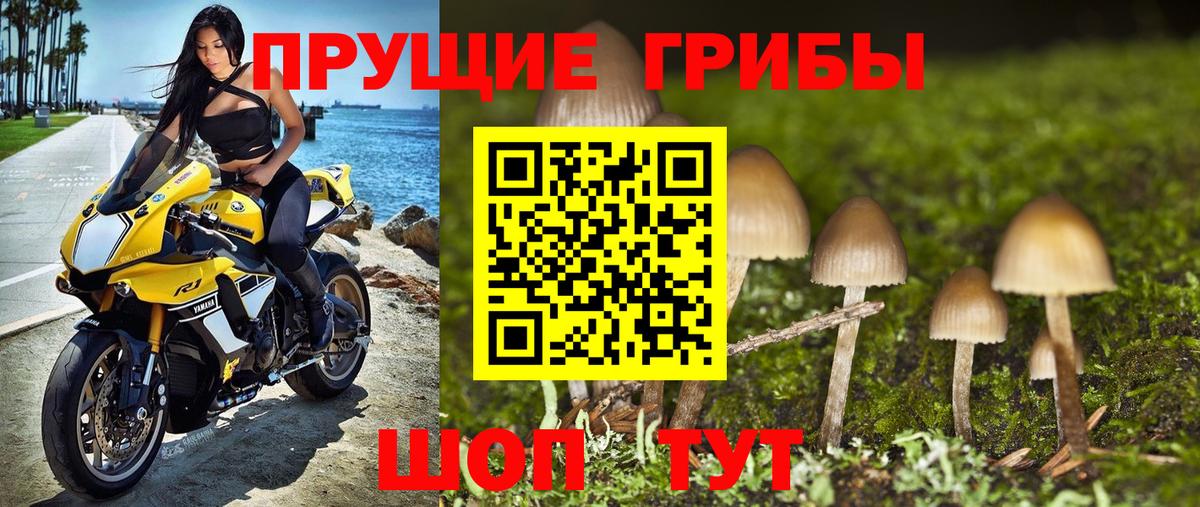 Галлюциногенные грибы прущие грибы Ирбит
